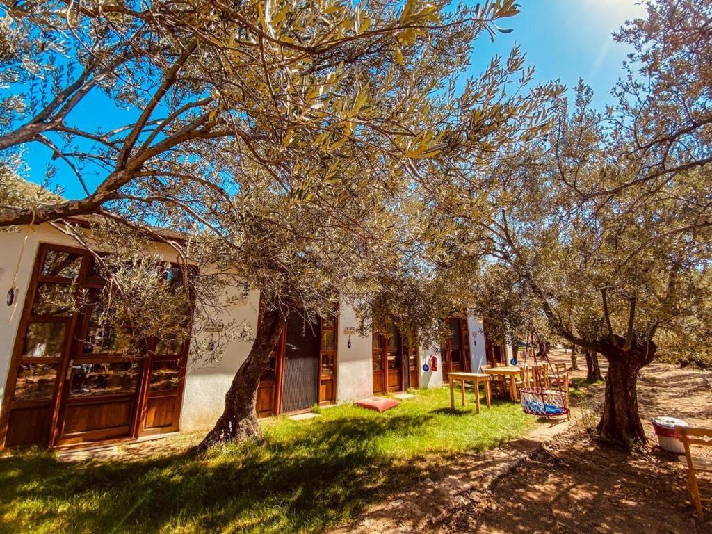 Hotel Yiva Kazdaglari Mehmetalani Zewnętrze zdjęcie